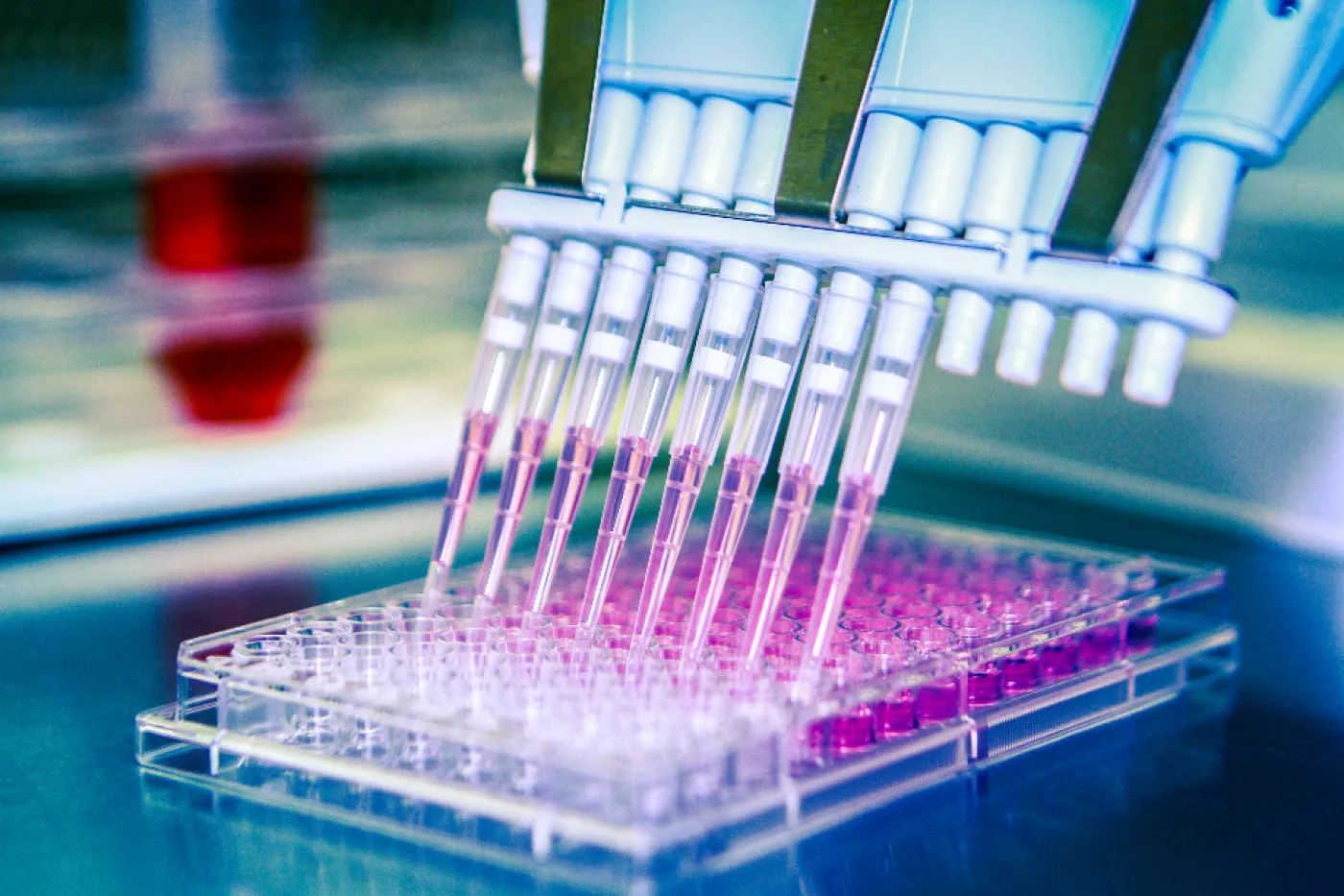 Alternatives to animal testing