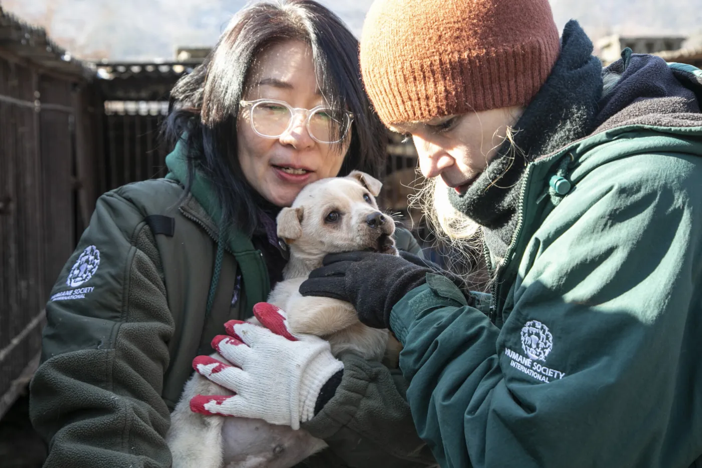 JungAh Chae and Lola Webber of HSI, hold a puppy at a dog meat farm