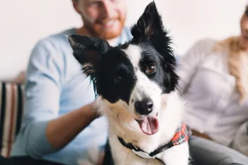 man and woman on the couch with their dog