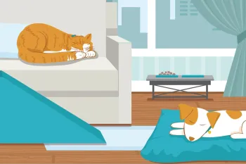 Illustration of a geriatric cat and dog in a home