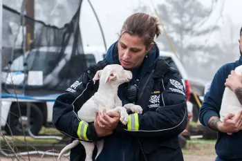 Animal Rescue Team carrying dogs out during a rescue