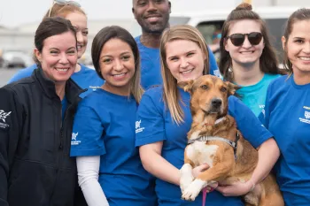 Humane Society of the United States staff at a rescue transport