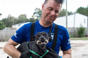 Dog and rescuer during HSUS efforts following Hurricane Florence in South Carolina