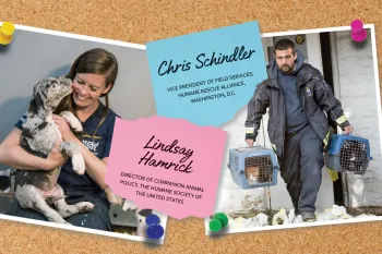 Photos of Chris Schindler and Lindsay Hamrick tacked onto a cork board.