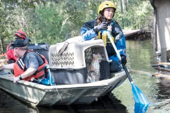 Emergency response team on a boat with rescued cats in a crate.