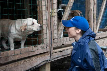HSUS staff with a dog being rescued from a large-scale alleged severe neglect case in Florida