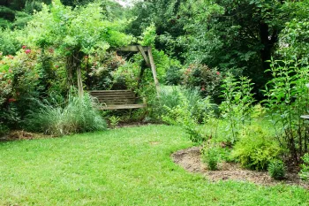 humane backyard with a bench and birdbath