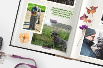 scrapbook showing photos of Mavrick the dog and Maverick's leash with tags