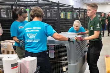 A group of volunteers help to transport a rescue dog from the crate to a rehabilitation center
