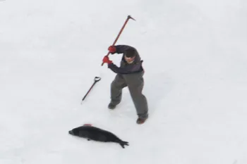 Hunter tracks down and clubs seal on ice