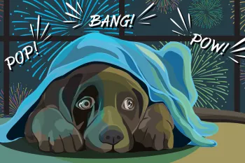 Illustration of a dog hiding under a blanket while fireworks go off out the window behind him.