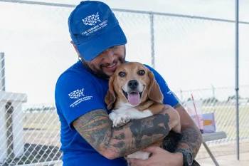 HSUS staff plays with beagle at care and rehab center