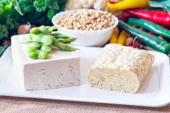 A plate of tofu and tempeh surrounded by veggies.