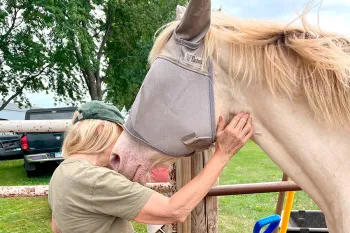 Magnolia the horse with her new owner.