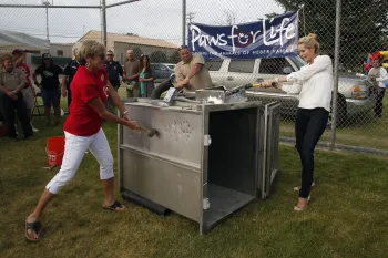 Image representing the campaign by Humane World for Animals to end the use of gas chambers for animal euthanasia in shelters.