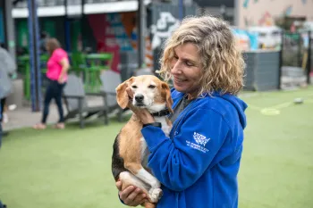 Woman holding and petting a beagle