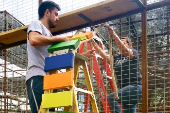 Workers create a ramp in an enclosure at Black Beauty Ranch Sanctuary