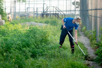 Wildlife caregiver Autumn Harmon cleans Loki the tiger's enclosure at Black Beauty Ranch..