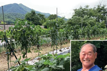 Former dog meat farm in Chungcheong province closed by HSI/Korea in March 2023 now transitioned to a crop farm.