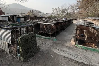 Farm 18 before it was closed and transitioned to a crop farm.