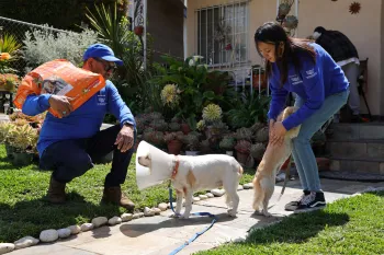 A man kneels down to greet a dog