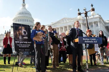 HSUS, HSLF and rescued beagles and their families speak out in support of the Better CARE for Animals Act at the U.S. Capitol building.