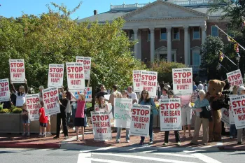 multiple people protesting
