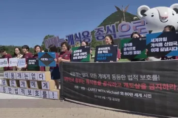 Campaigning against the dog meat trade in South Korea