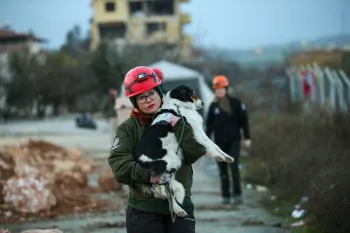 Rescuing animals after an earthquake in Turkiye