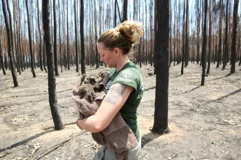 Australia Wildfires Response