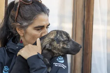 Companion animal field clinic northern Chile