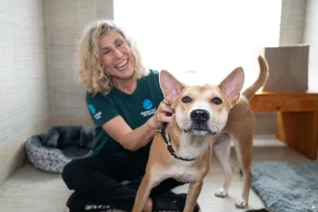 Kitty with dog