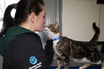 Cat rescued from the OH Multi-Species Rescue