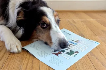 A dog laying on a wood floor with his snout resting on an issue of All Animals magazine.