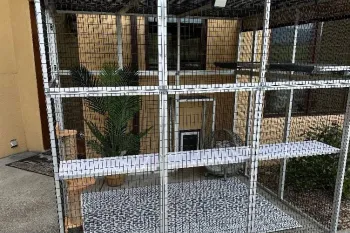 Catio on a porch