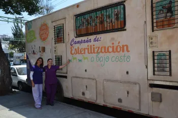 Spay/neuter van in Mexico