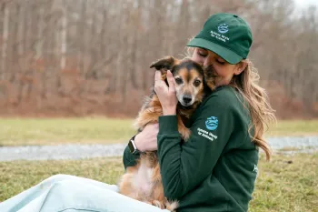 Humane World for Animals employee with their dog, Flea