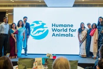 Hyderabad brand event