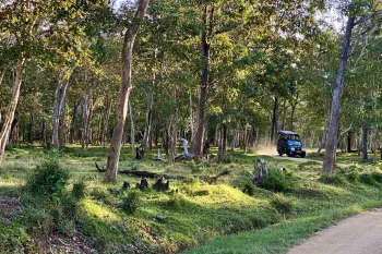Nagarahole Tiger Reserve