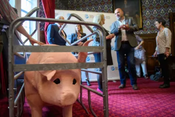 Replica farrowing crate and animatronic pig at Humane World for Animals UK event in the House of Commons, June 2025