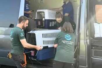 a group of people working together to load or unload large pet carriers from a van