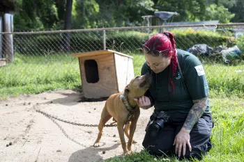 a woman kneeling down next to a dog