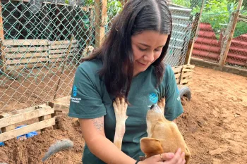 a person holding a baby dog