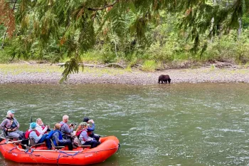 Great Bear Rainforest