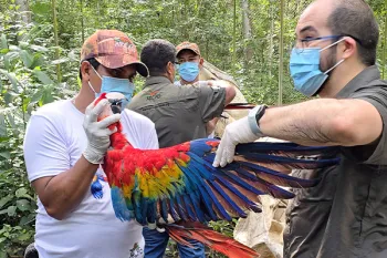 Staff perform final veterinary checkups. 