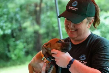 a person holding a young dog in their arms
