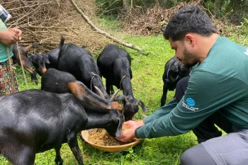 Humane World for Animals India providing feed to over 12,000 animals post the Odisha floods.