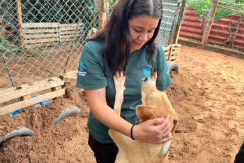 Rescue from alleged neglect in Texas | Humane World for Animals