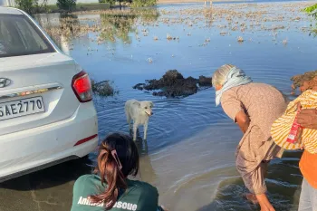 India's disaster response team is providing relief in some of the worst flood-affected regions of Punjab