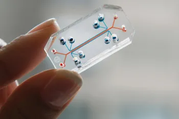 Lung chip in hand